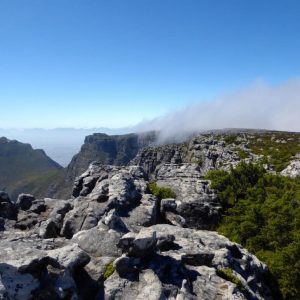 Cape-Town-Table-Mountain-Plateau-1030x773