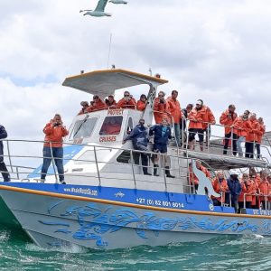 Dream-Catcher-boat-on-cape-town-seas-with-tourists