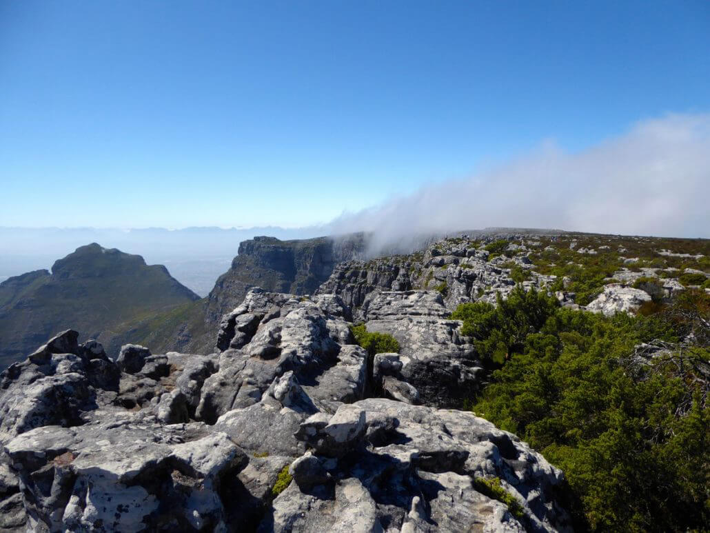 Cape-Town-Table-Mountain-Plateau-1030x773