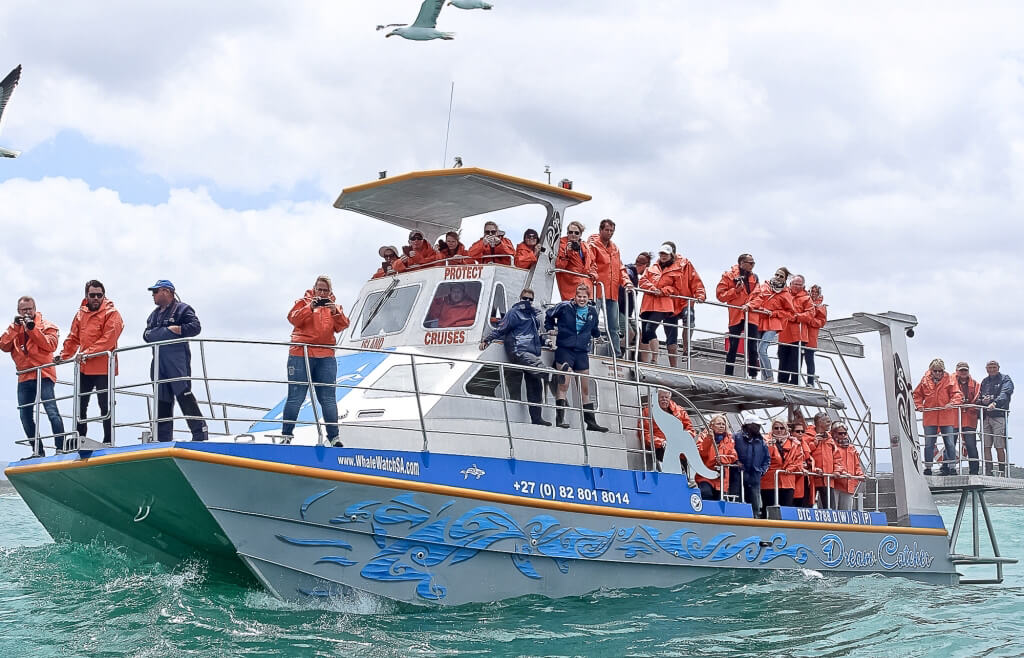 Dream-Catcher-boat-on-cape-town-seas-with-tourists